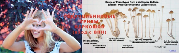 COCAINE Липки