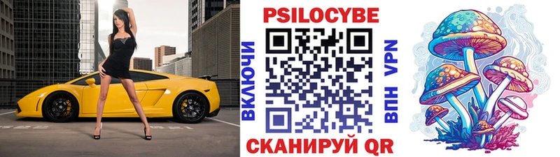 Галлюциногенные грибы мухоморы  Мамадыш 